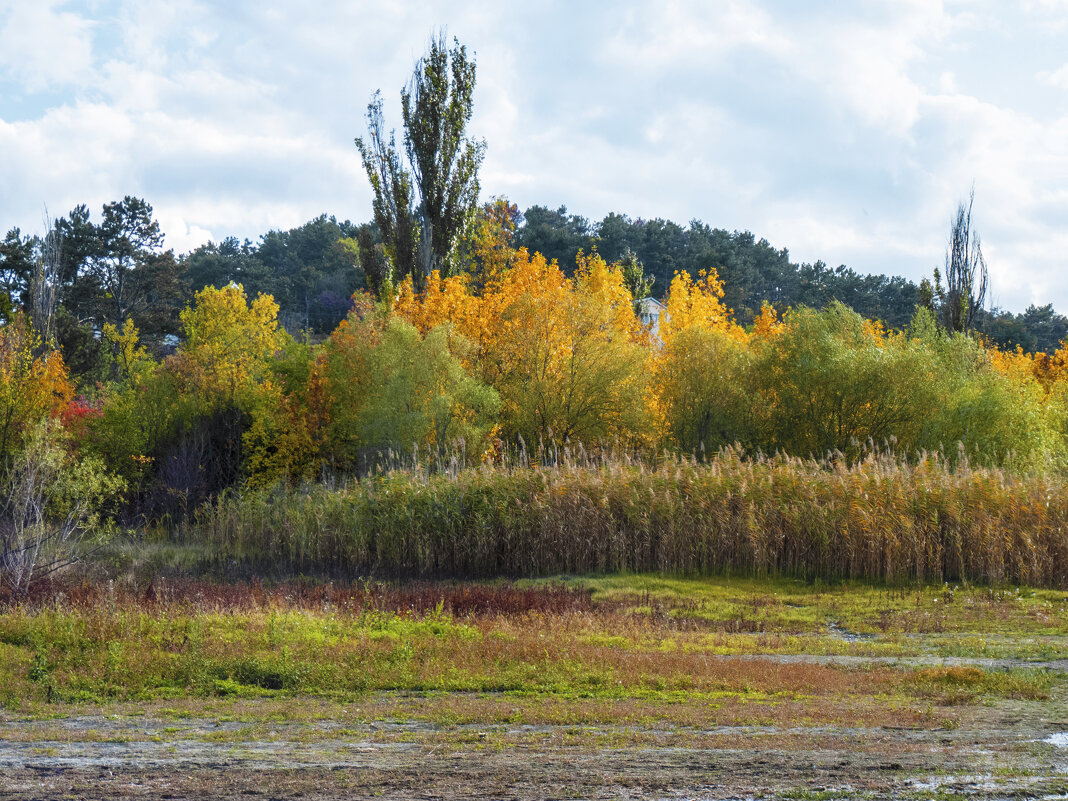 Пейзажи  Крыма - Валентин Семчишин