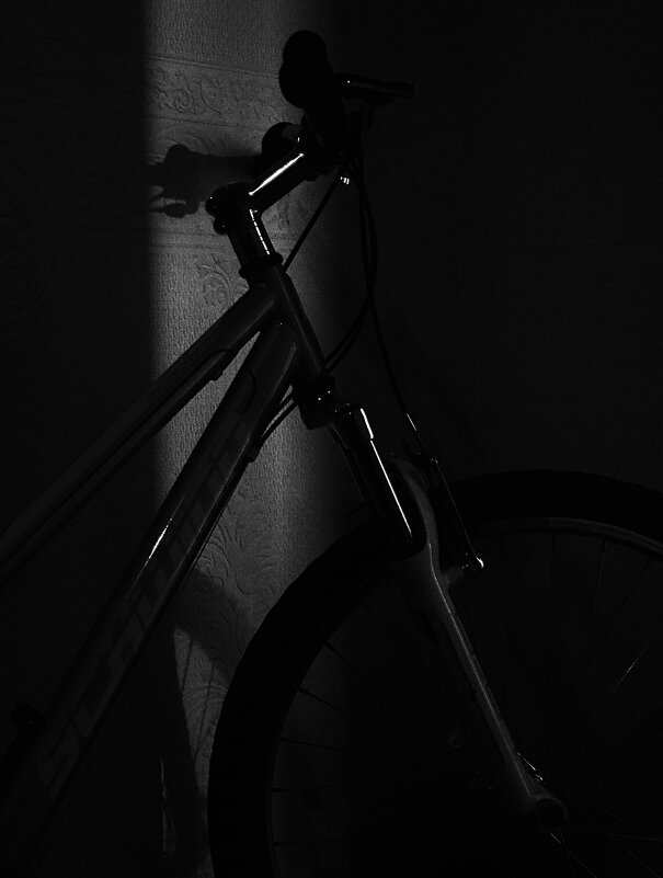 * - Василий Палий