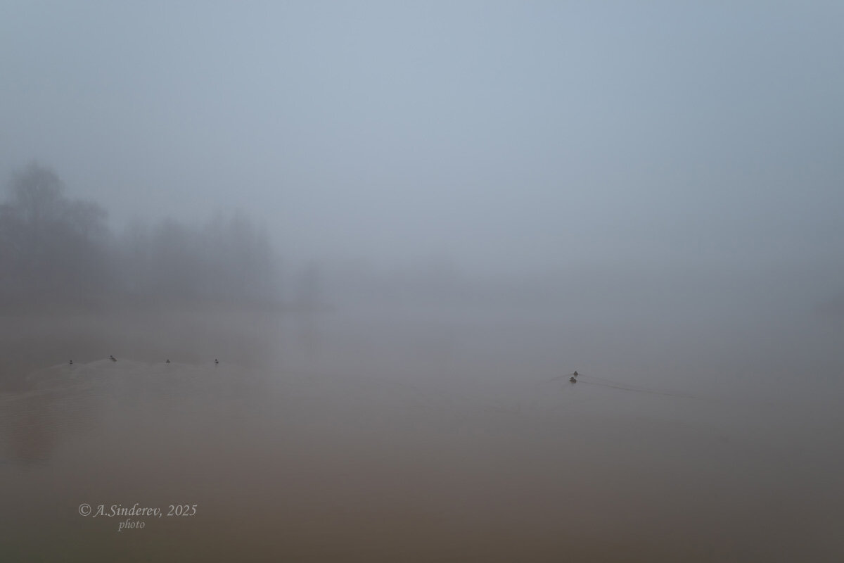 Утки в тумане - Александр Синдерёв