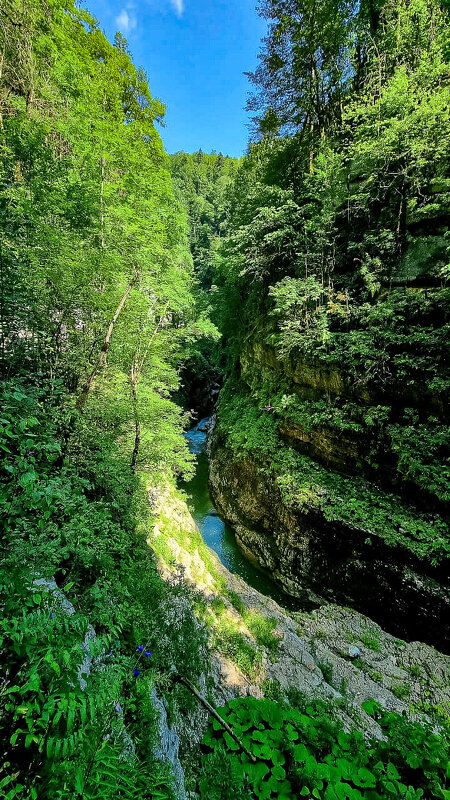 ущелье - Ольга Косачова