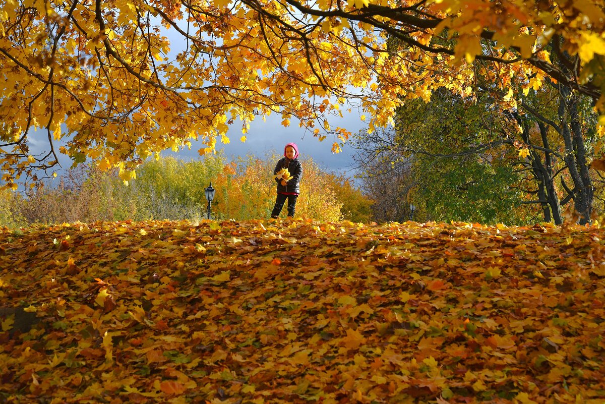 Осенняя сказка - Галина Aleksandrova