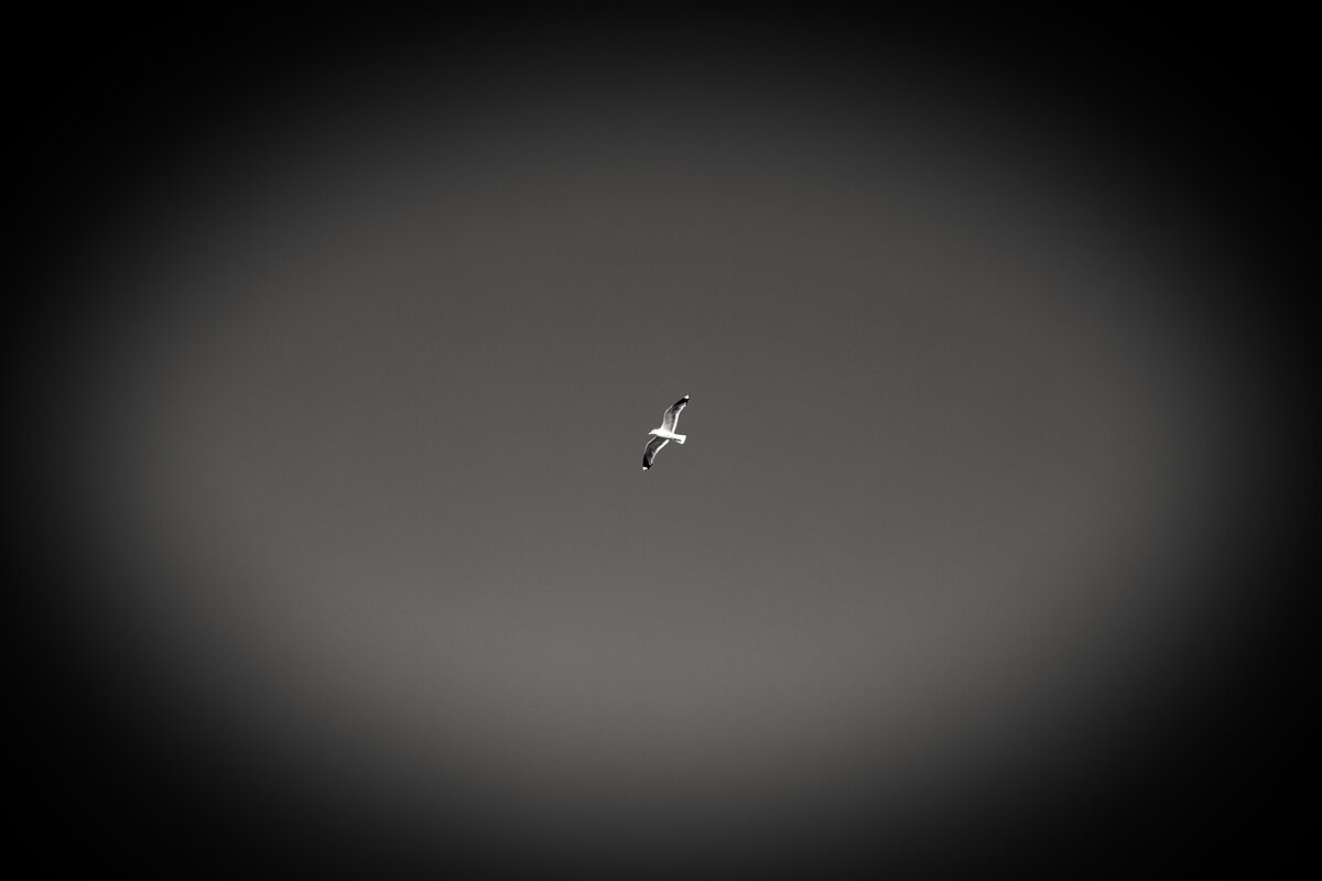 Фотограф - Денис Безногов