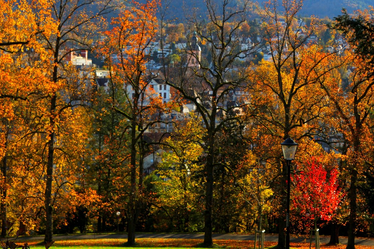 В окружение осени - Юрий. Шмаков
