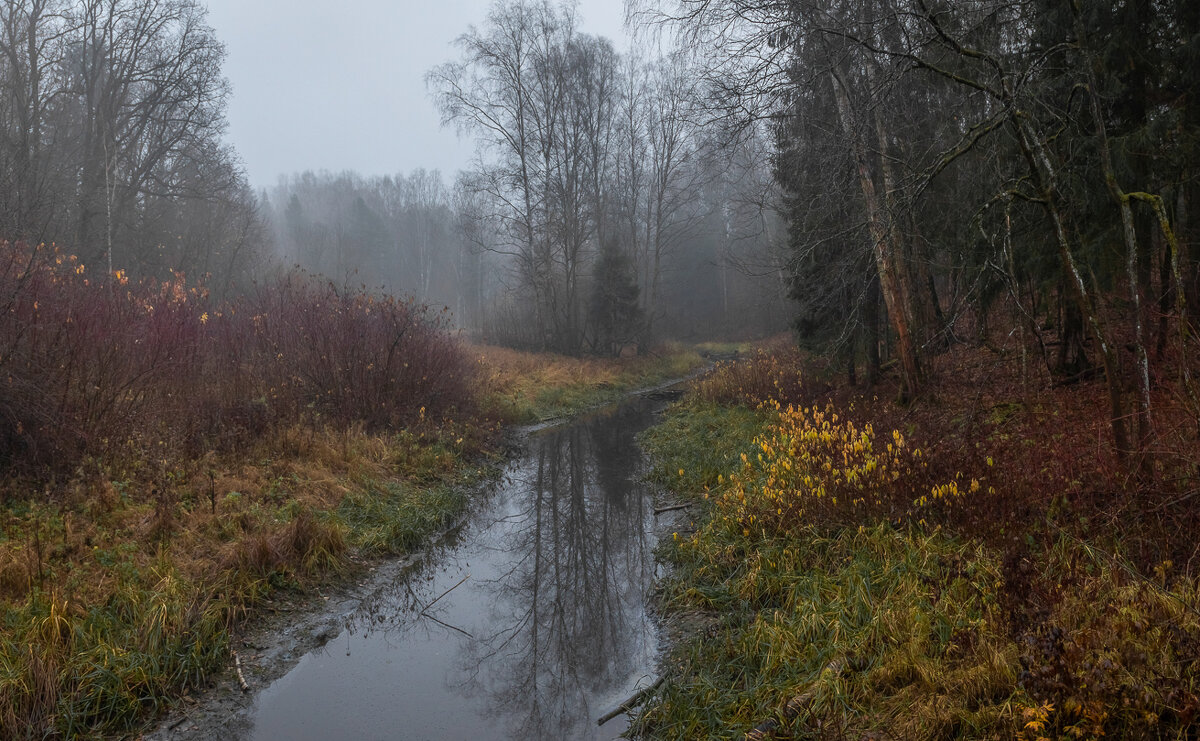 **** - Елизавета .