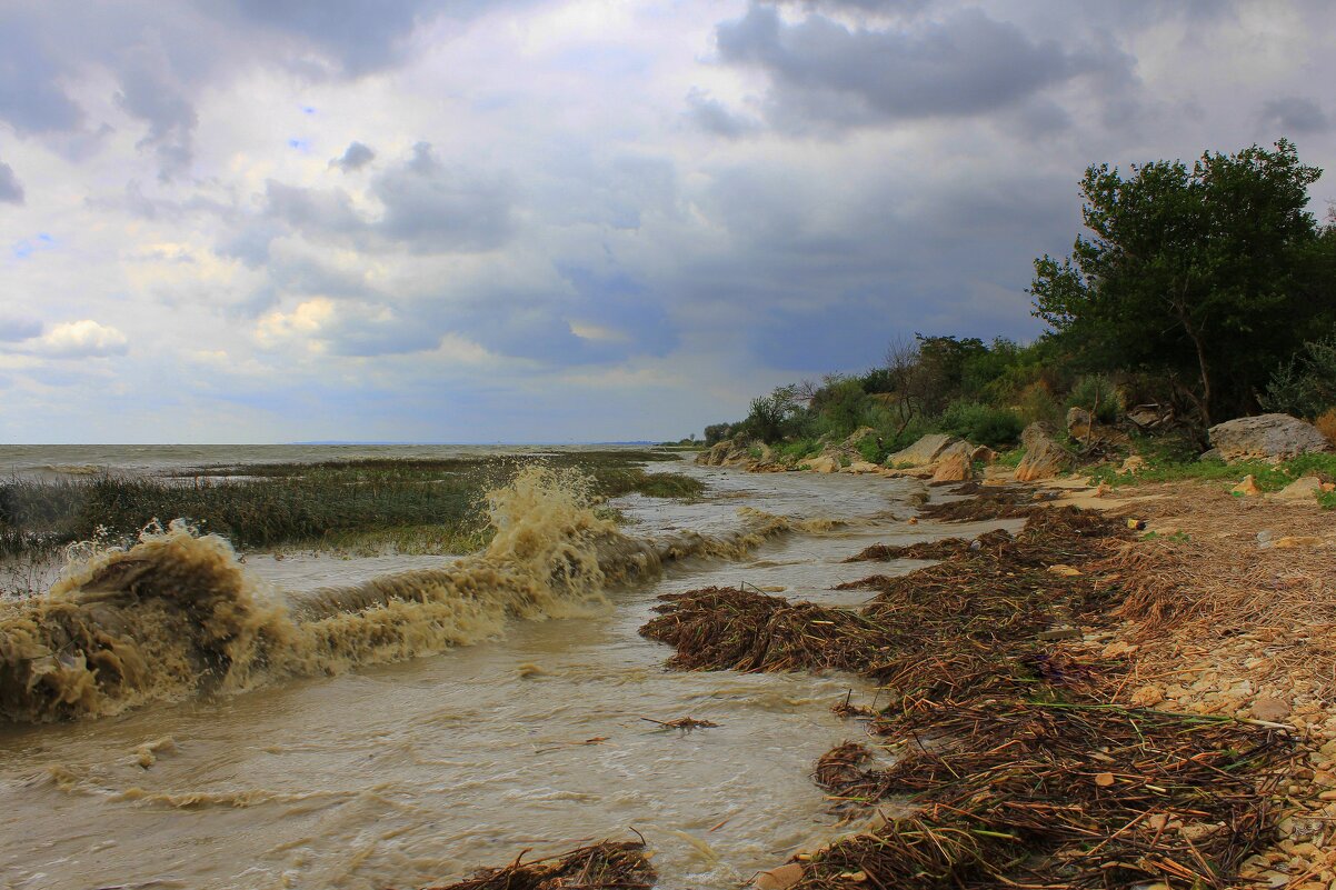 Морской бриз - Оксана Новик 