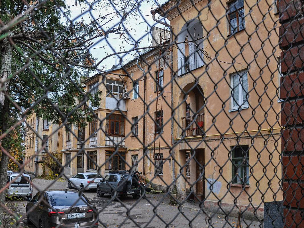 За забором - Татьяна Машошина