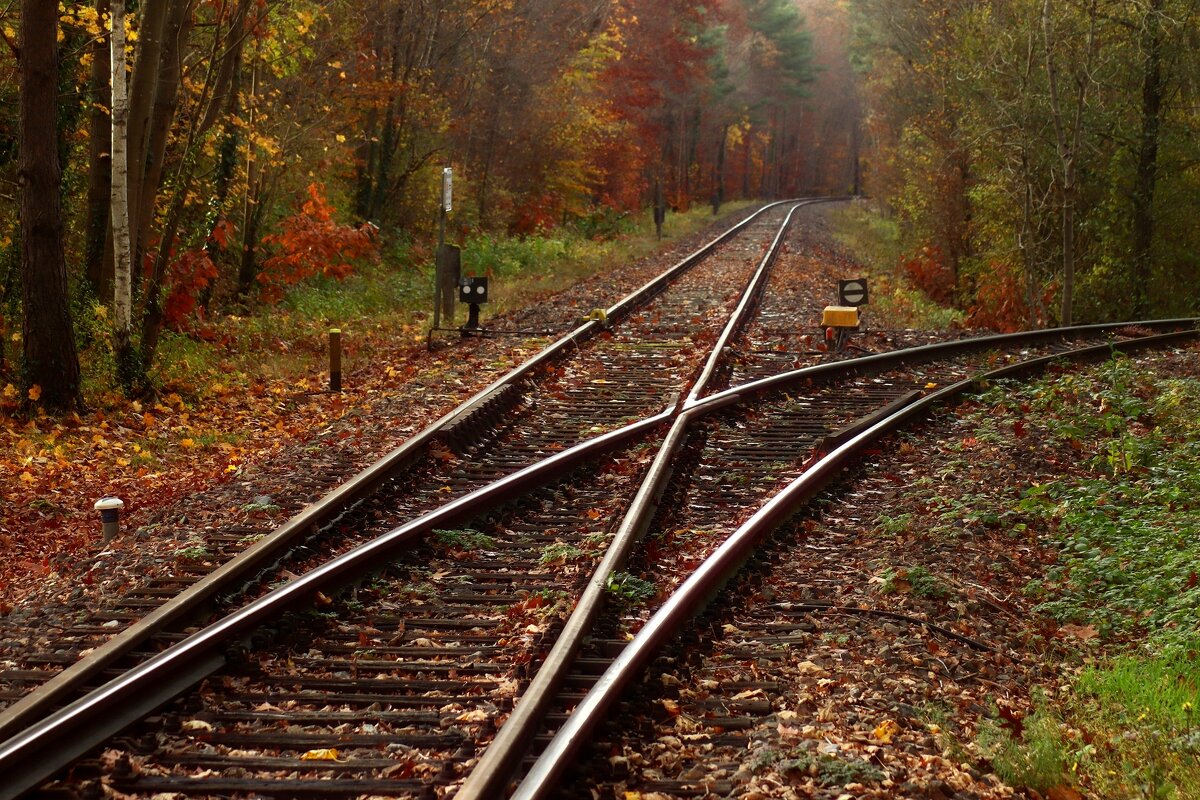 Вот новый поворот - Юрий. Шмаков