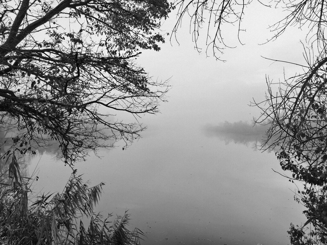 Туман на реке - Валерий Ткаченко