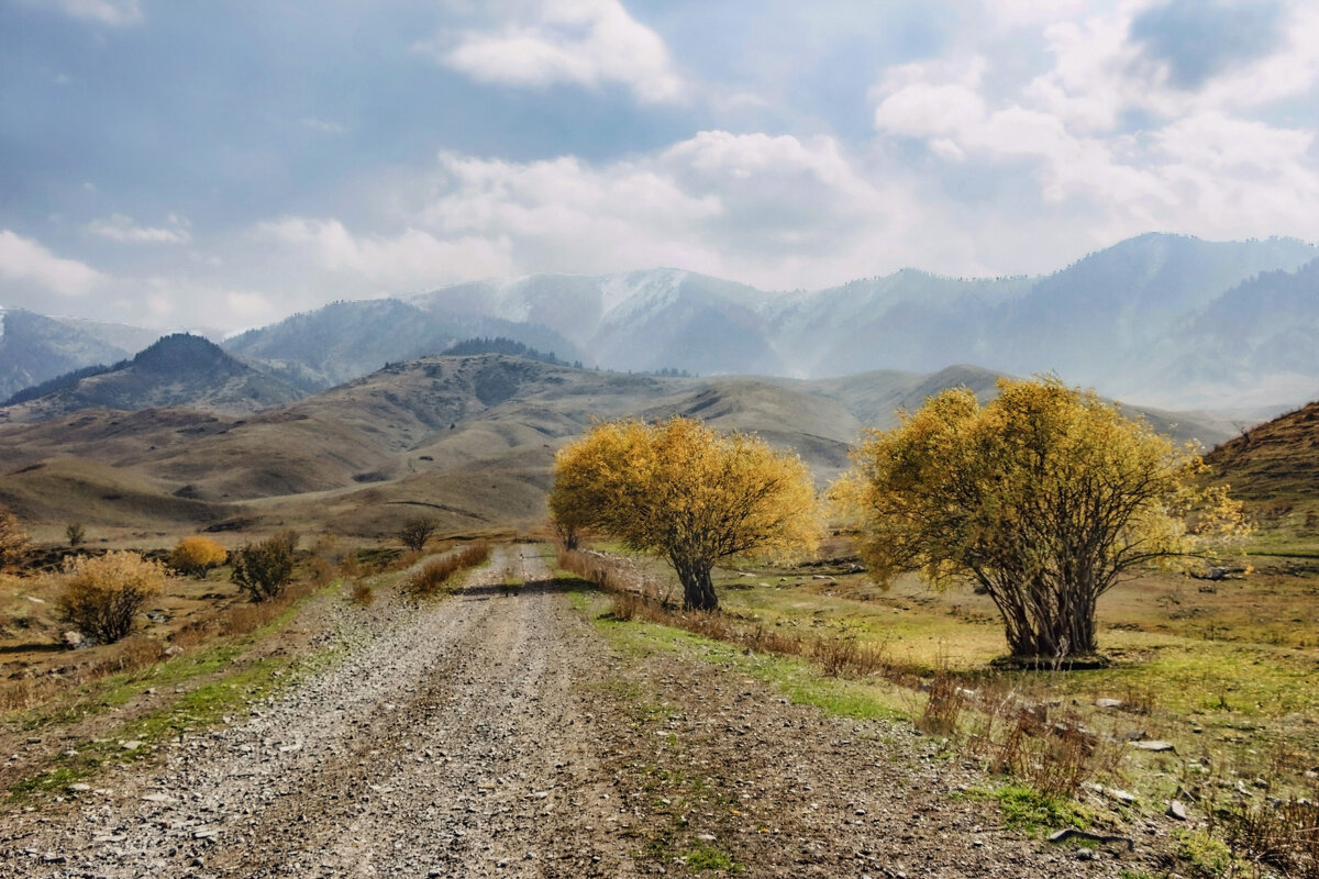 Скоро плато. - LudMila 