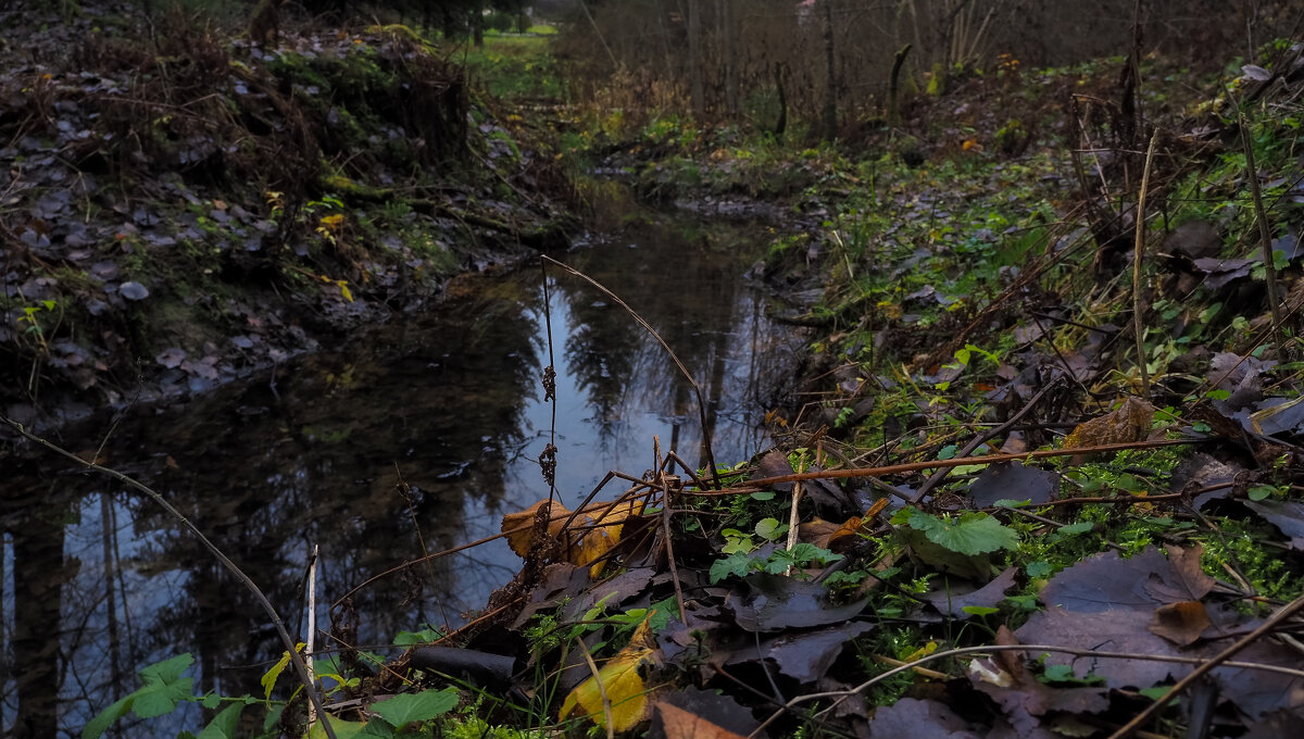 По Осеннему Лесу - юрий поляков