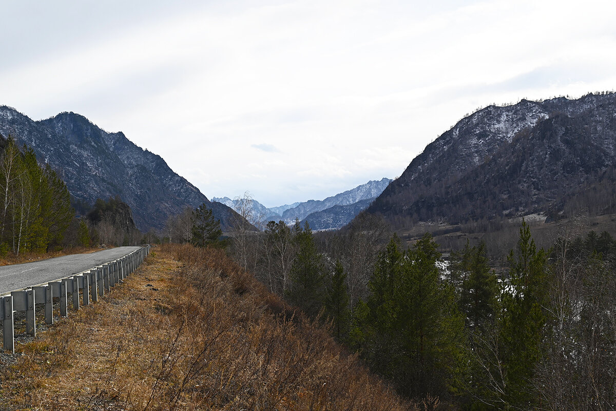Долина Катуни - Валерий Медведев