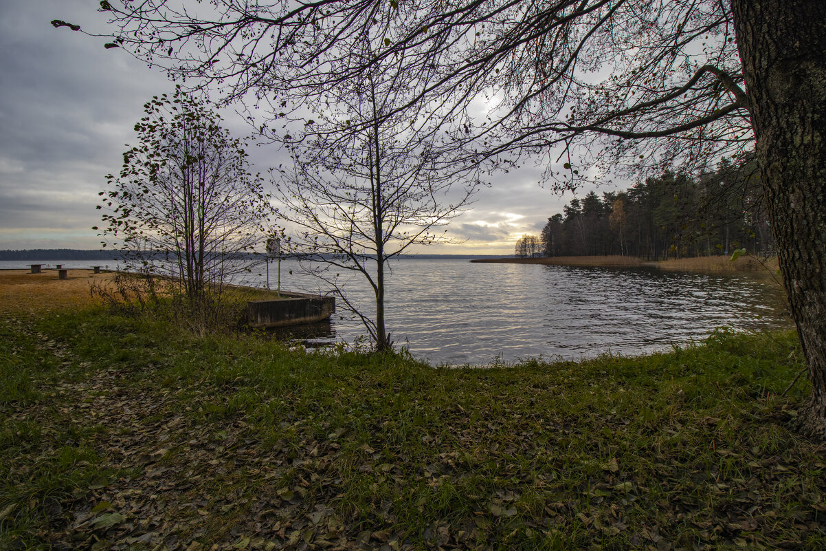 Вечер. - Николай 