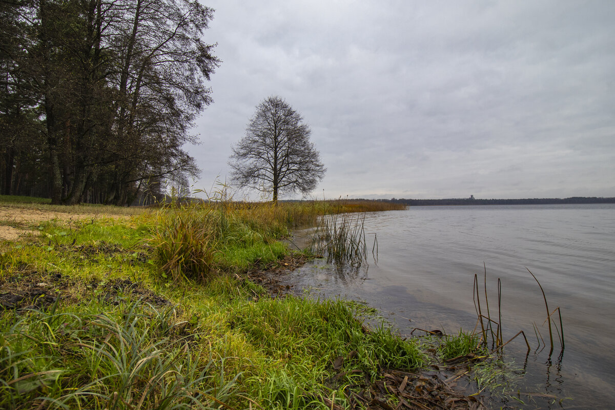 Б/Н - Николай Б/Н - Николай