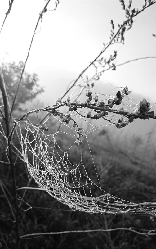 Под ногами - Валентина 