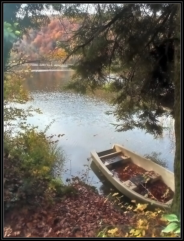 Осень. Очей очарованье! - Ольга Довженко