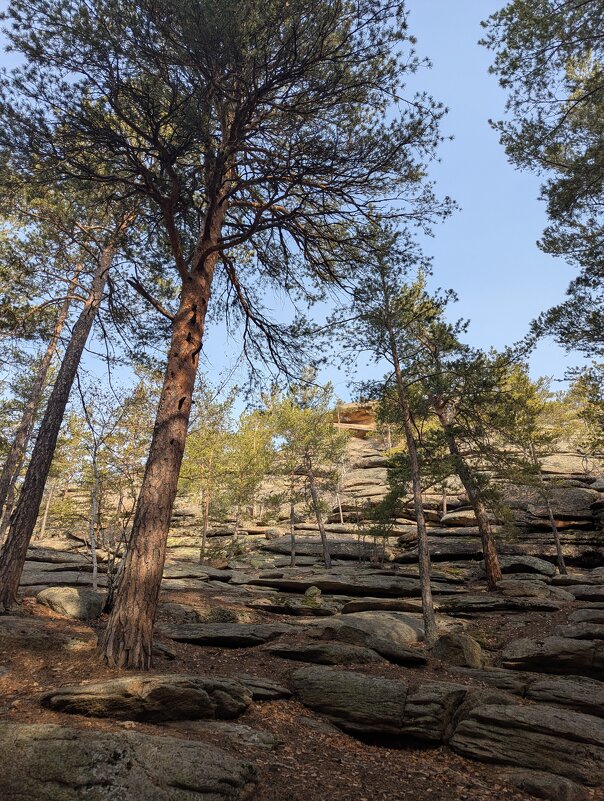 Скалы в Каркаралах - Андрей Хлопонин