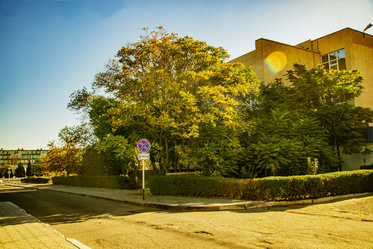 Дорожный знак - Анатолий Чикчирный Дорожный знак - Анатолий Чикчирный