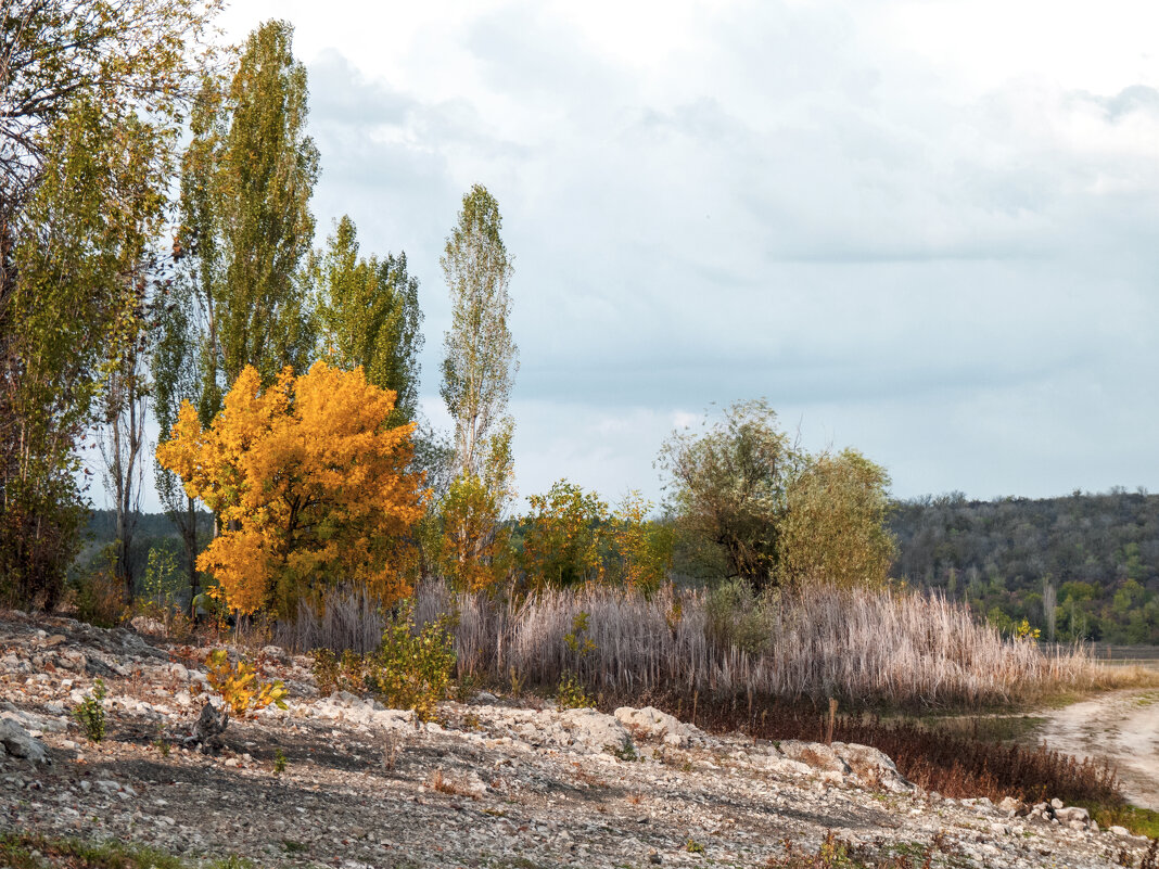 Пейзажи  Крыма - Валентин Семчишин