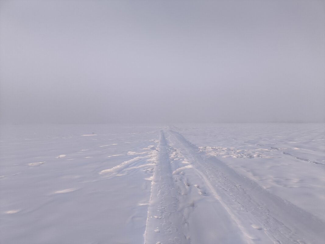 Ни зги - Anna Ivanova