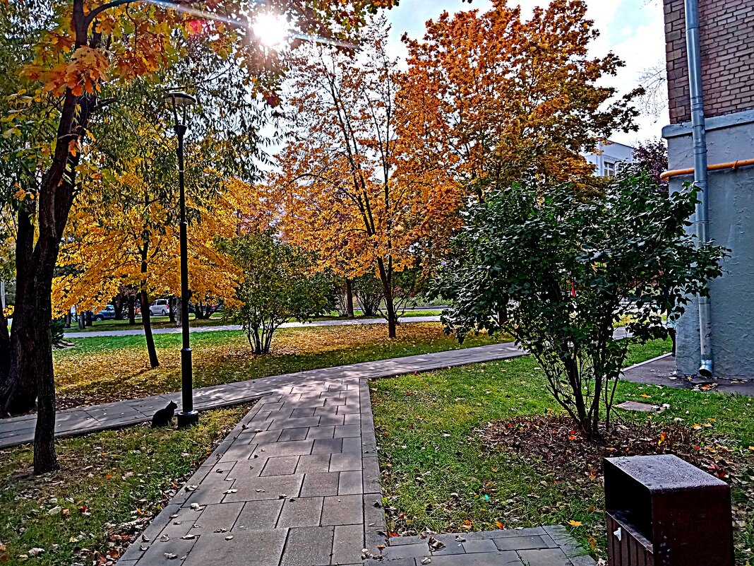 Осень. - Владимир Драгунский Осень. - Владимир Драгунский