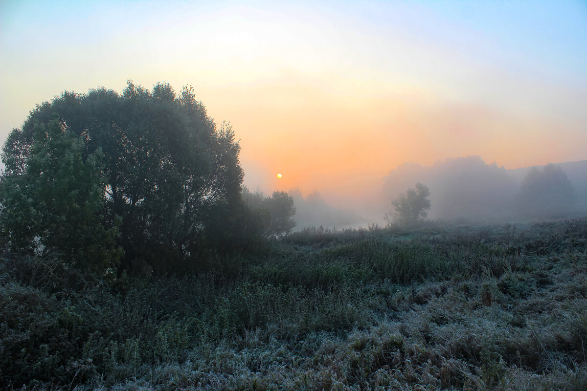 Туман. Иней. Утро. - Александр 