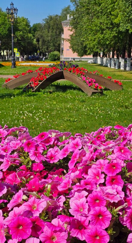 Цветы. Рабочие моменты - Юлия Голикова