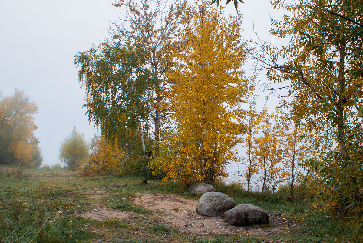 берег р. Волга - Владимир Зеленцов