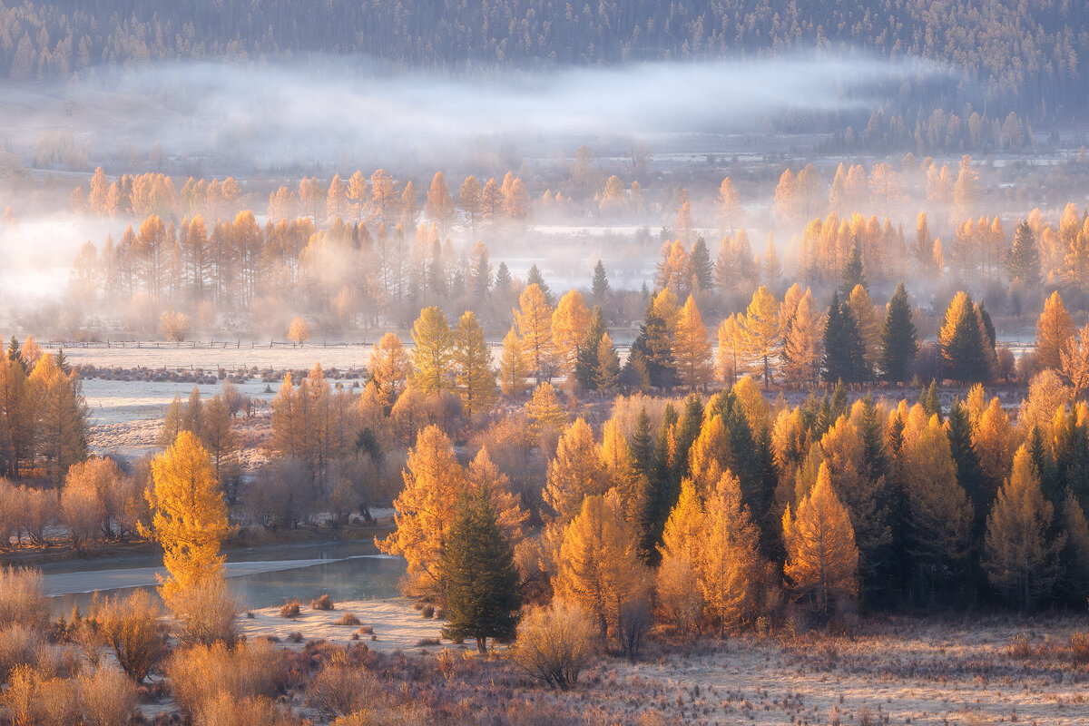 Туманчик - Sergey38 