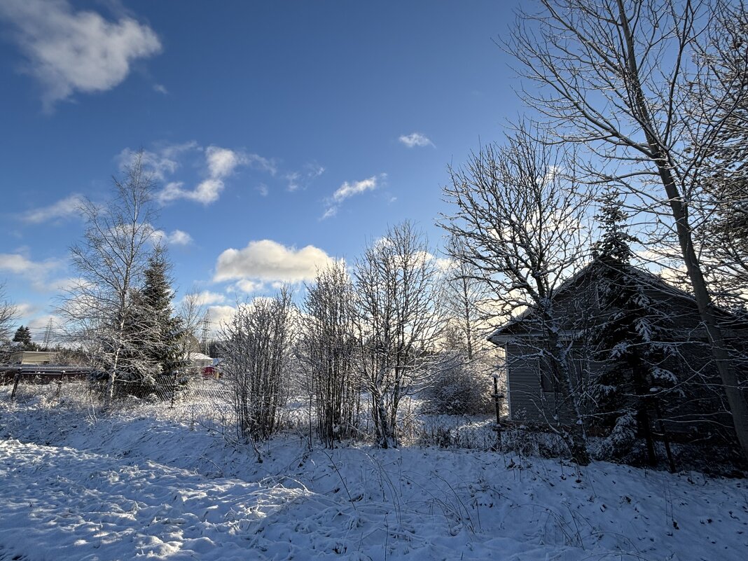 Утро - Ольга Савельева 