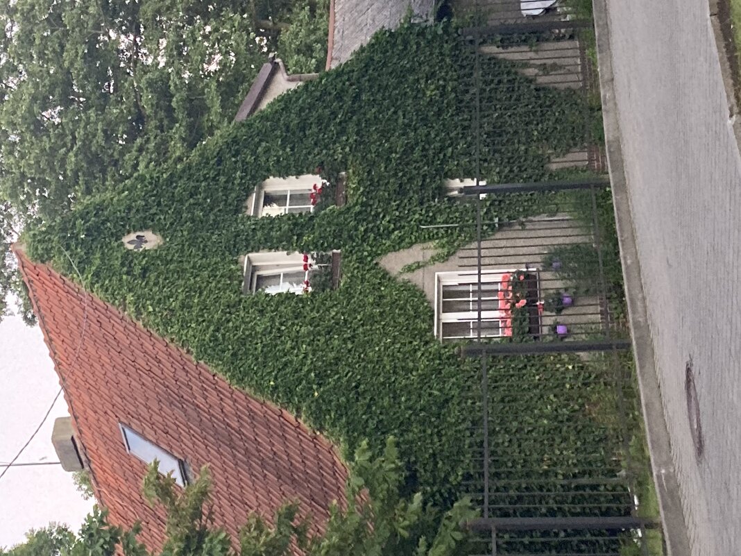 Домик - Ольга Савельева 