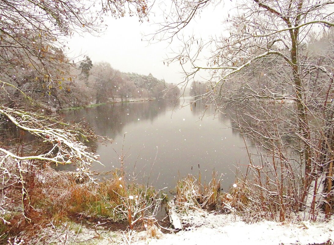 Первый снег над озером - Андрей Снегерёв