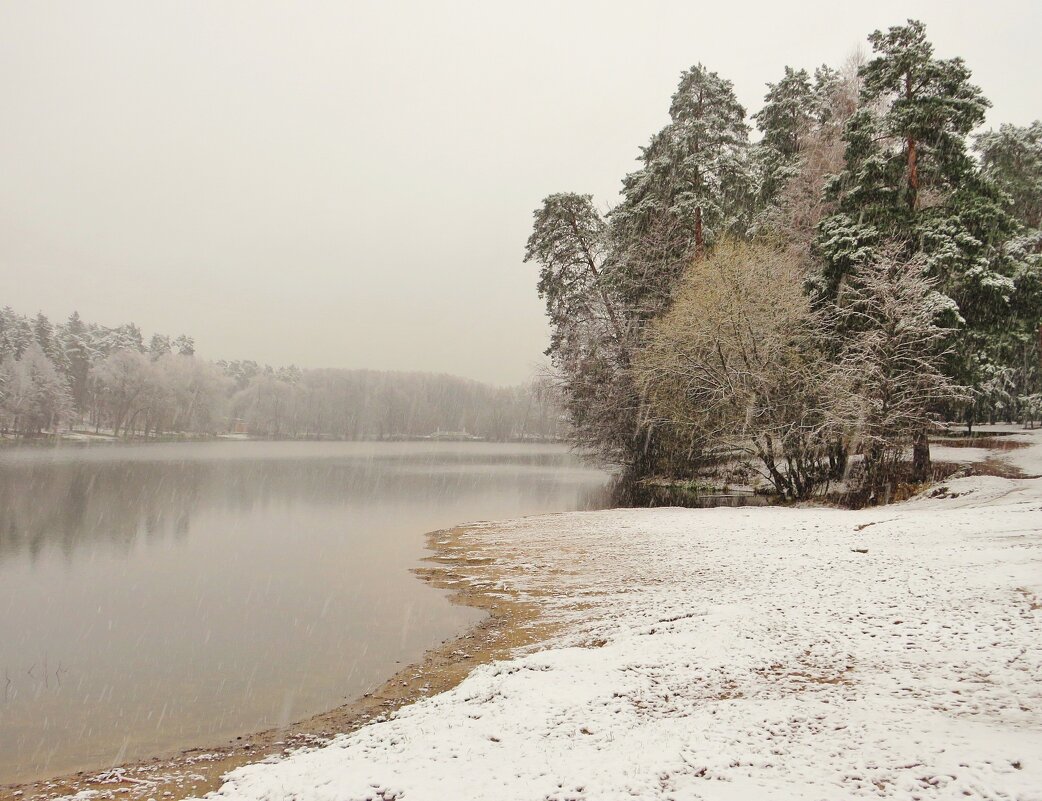 Пляж под снегом - Андрей Снегерёв