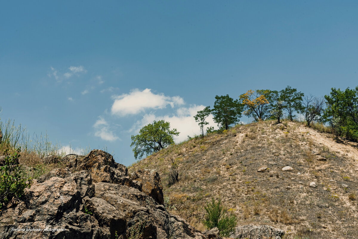 Природа - Светлана Ищенко