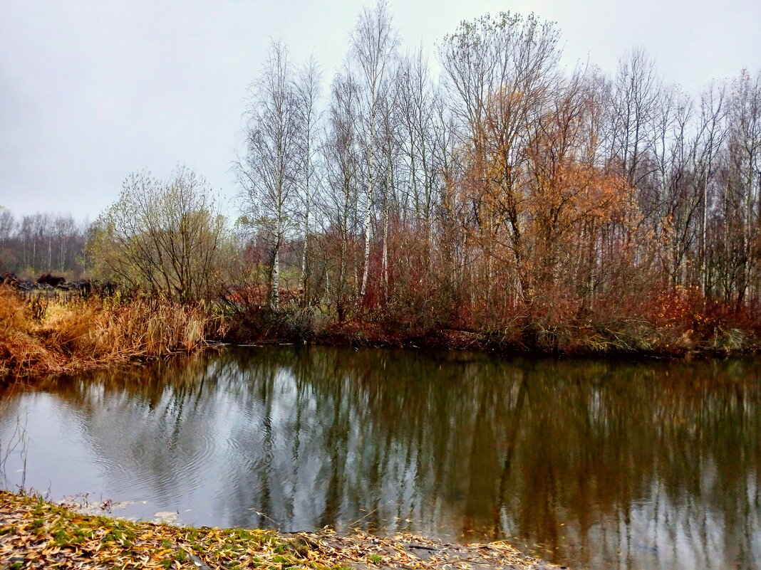 Ноябрь. - Лия ☼