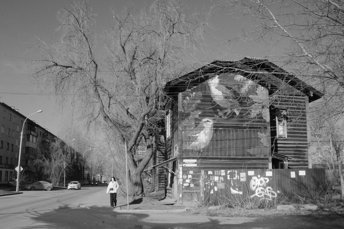 Графиттти - Сергей Сергеев