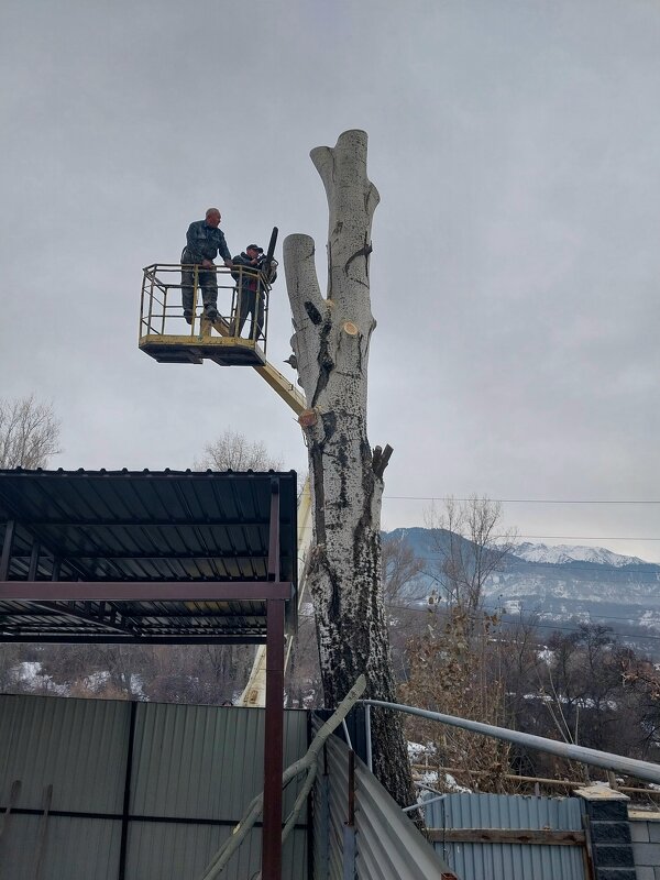 Talgar. - Murat Bukaev 