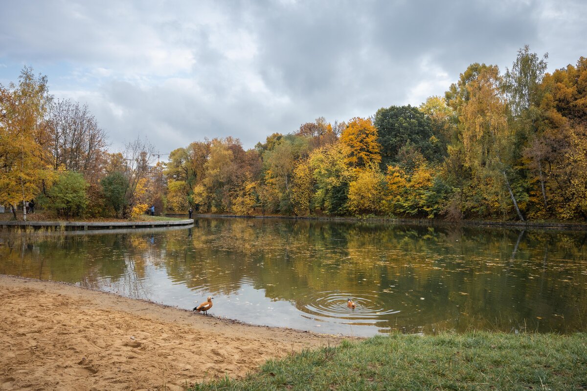 Олений ручей - Олег Дорошенко