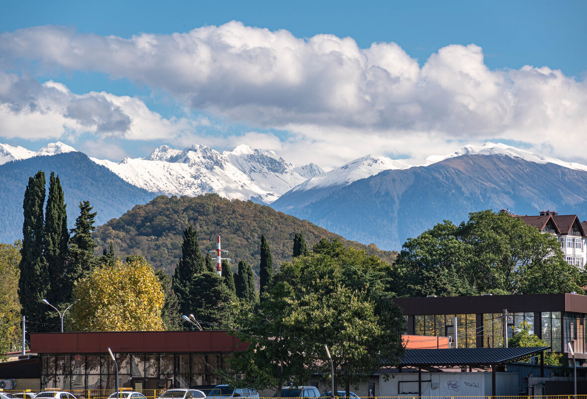 Адлер - Сергей Яковлев