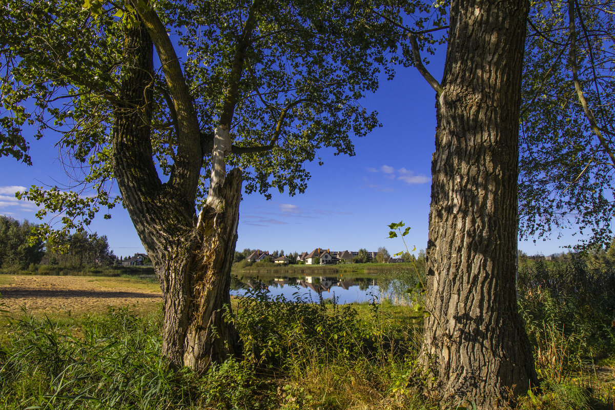 ДВА ИСПОЛИНА - Николай 