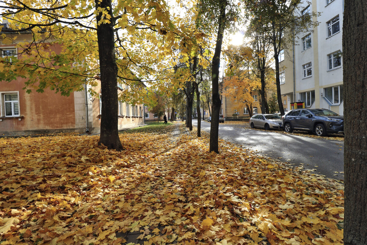 ОСЕНЬ В ГОРОДЕ. - Николай ОСЕНЬ В ГОРОДЕ. - Николай