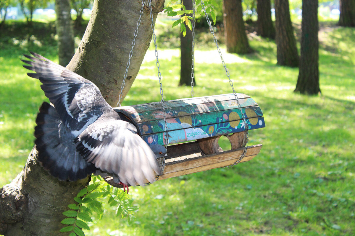 *** - Любовь ***