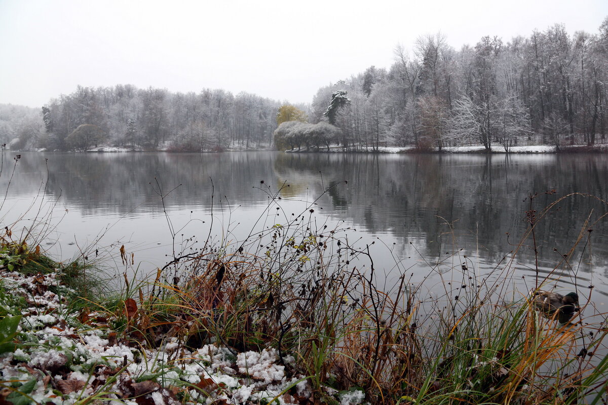 Царицыно утром 15 ноября - Михаил Бибичков