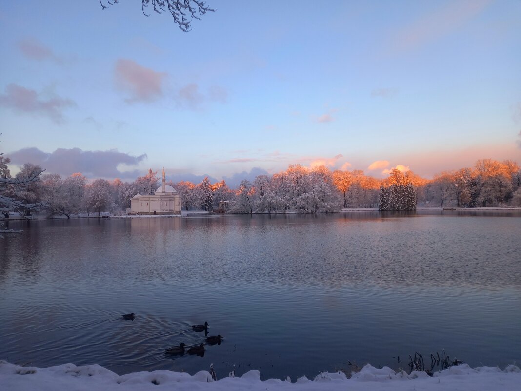 Рассвет - Сапсан 
