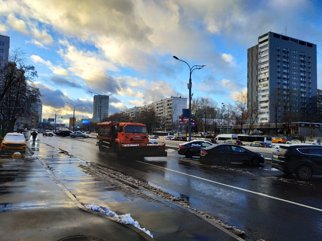 Предзимье в городе (фотодневник не юного натуралиста) - Андрей Лукьянов