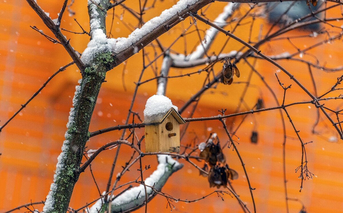 Малогабаритка - Валерий Иванович