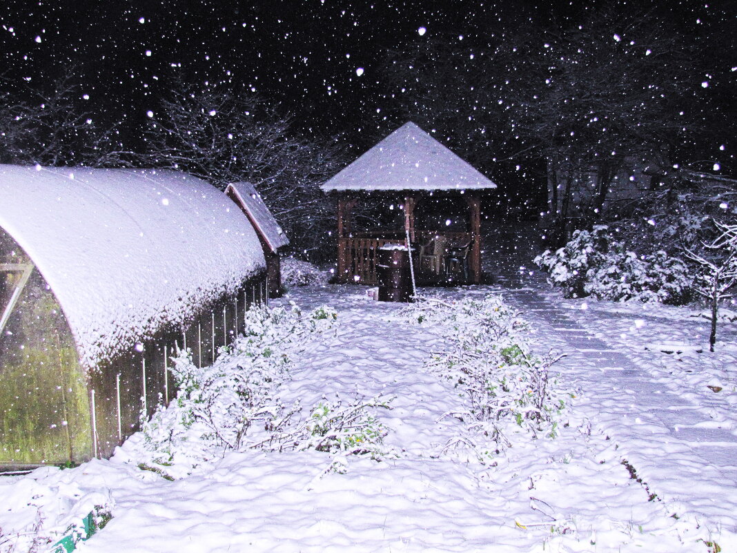 А снег идёт, а снег идёт... - Людмила Смородинская