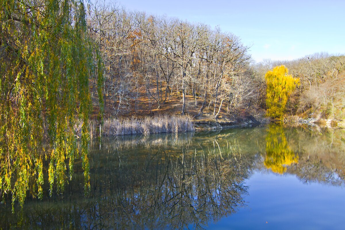 Озеро в лесу - Геннадий Валеев