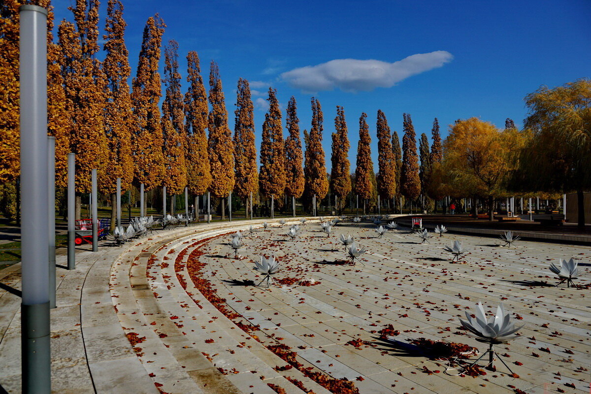 В парке " Краснодар " или Галицкого... - Николай Саржанов В парке " Краснодар " или Галицкого... - Николай Саржанов