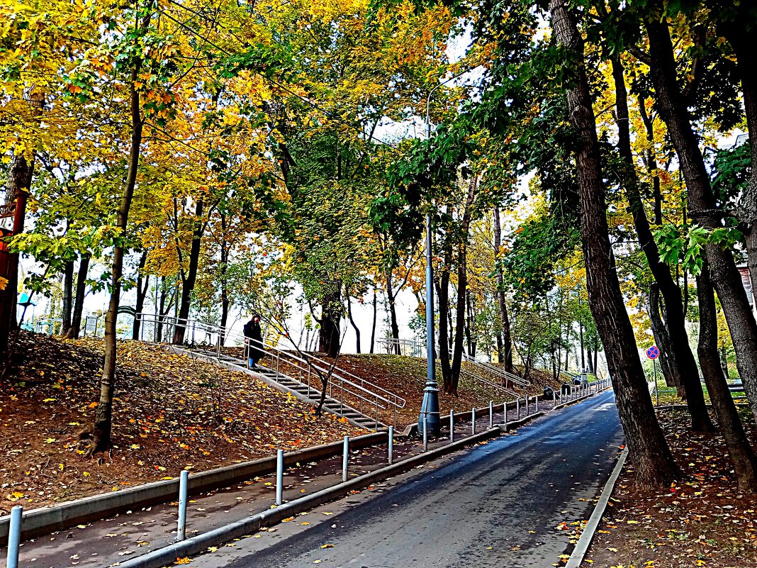Осень. - Владимир Драгунский