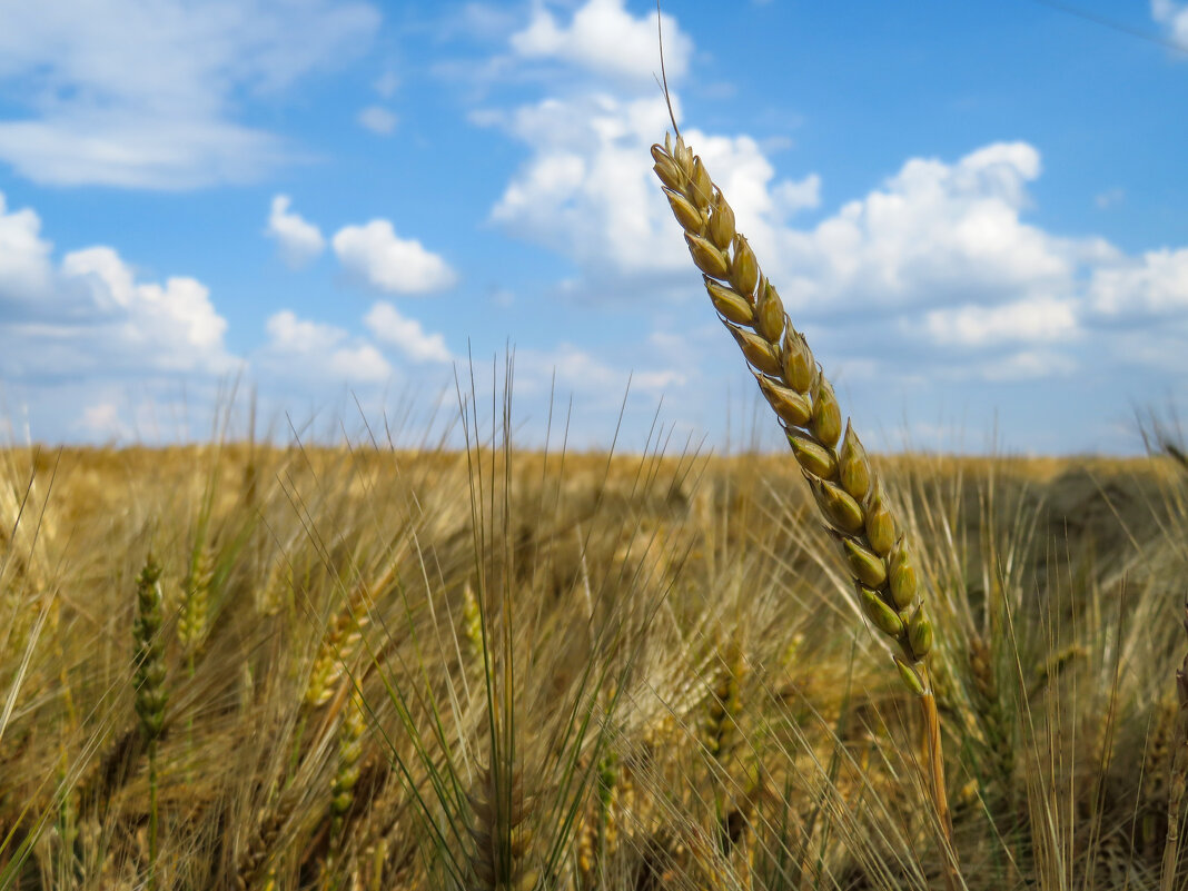 Выше всех - Валерий Ткаченко Выше всех - Валерий Ткаченко